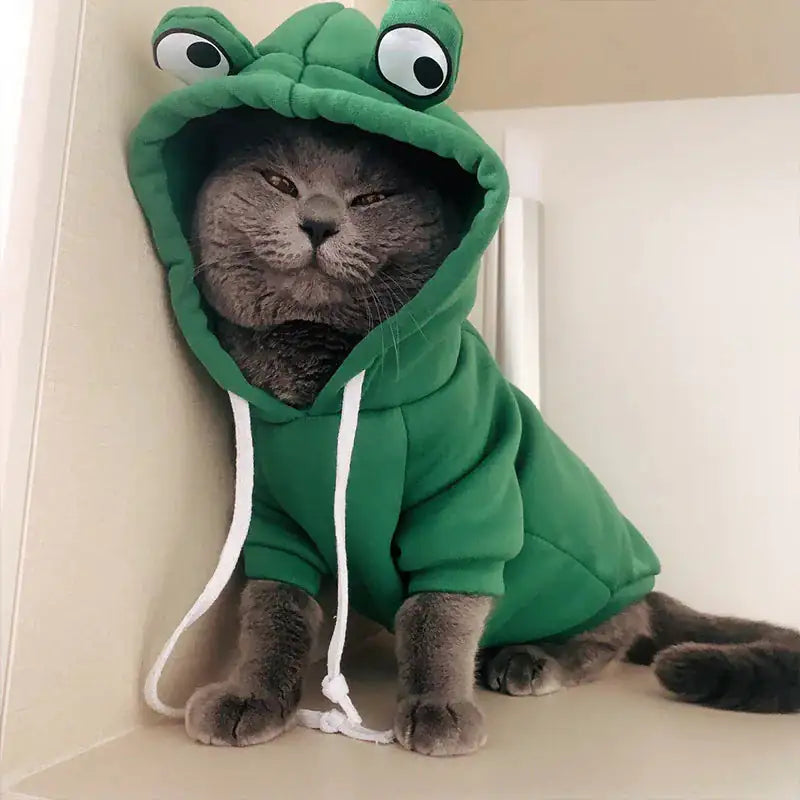 Cute AndCozy Costumes For Pet