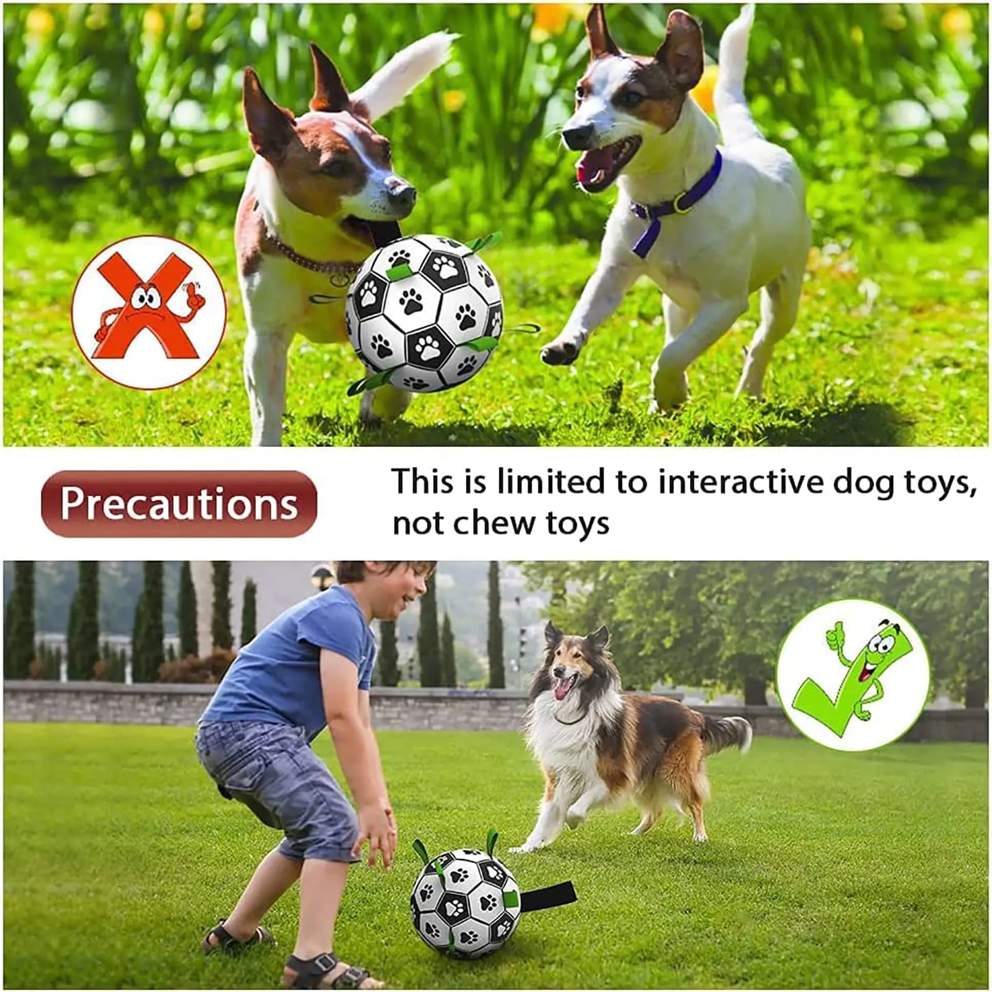 Interactive Dog Football